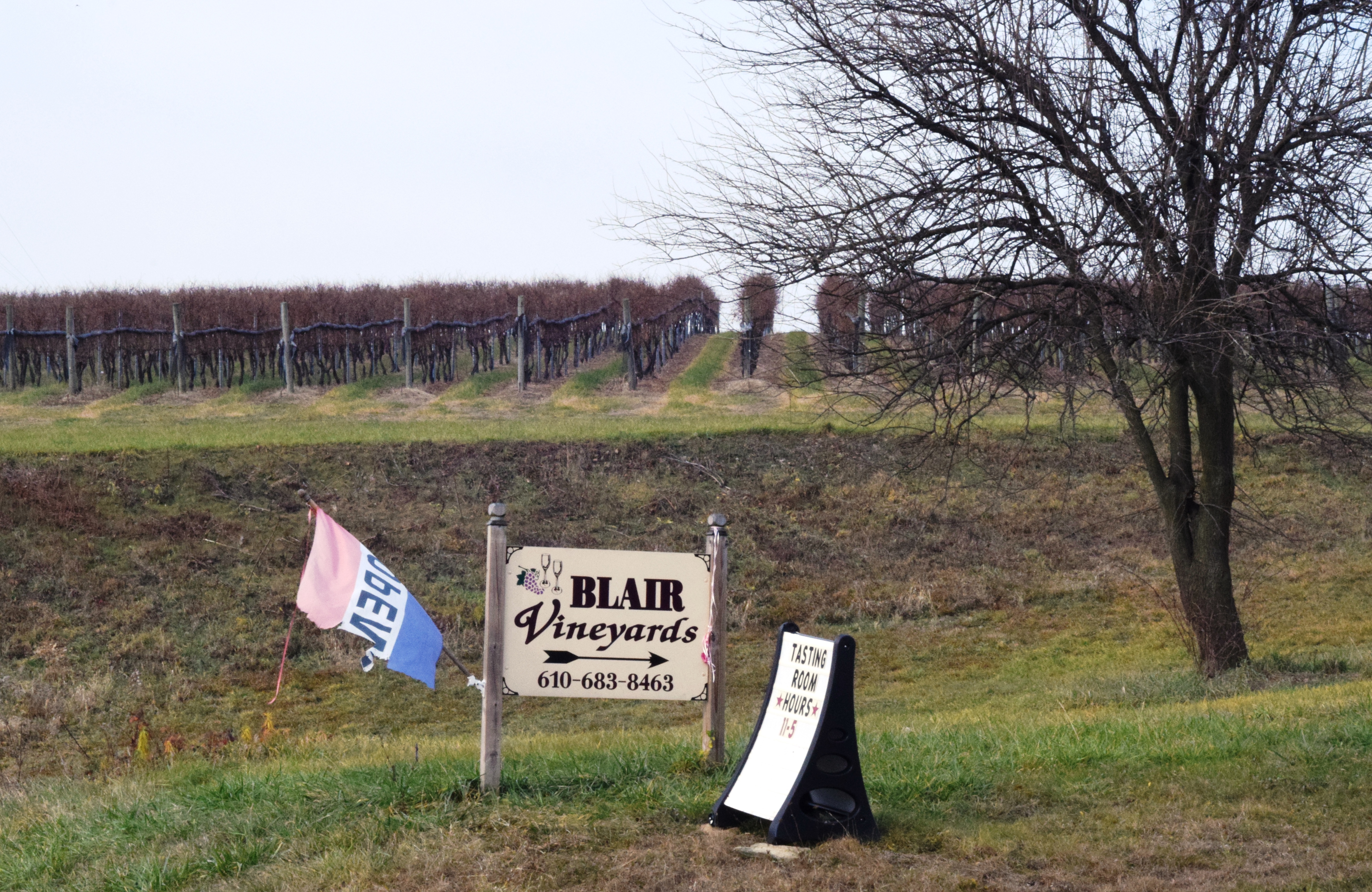 Blair Vineyards Entry